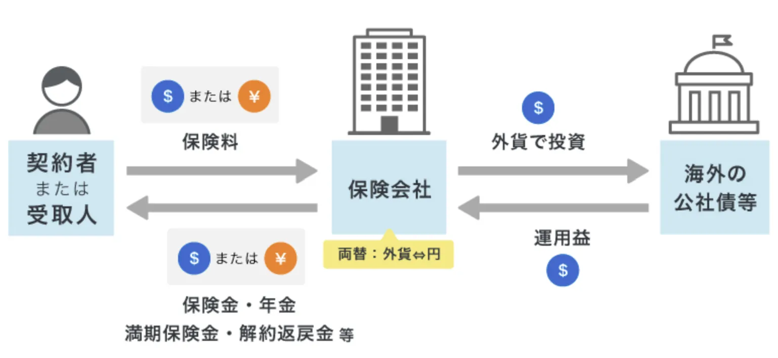 保険